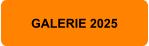 GALERIE 2025
